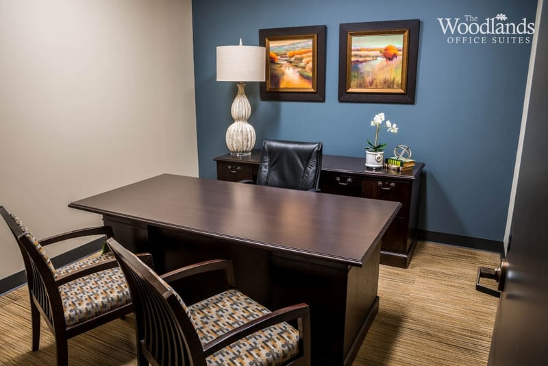The Woodlands Office Suites - 1095 Evergreen Circle - The Woodlands - TX image 3