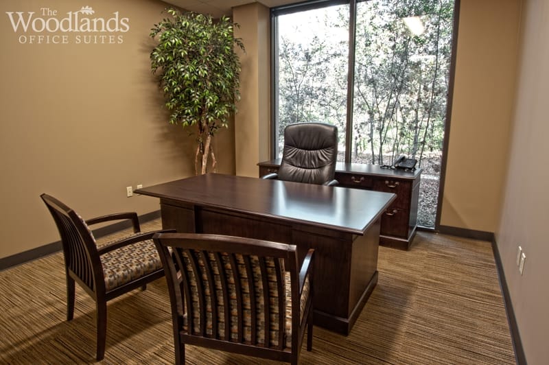 The Woodlands Office Suites - 1095 Evergreen Circle - The Woodlands - TX image 14