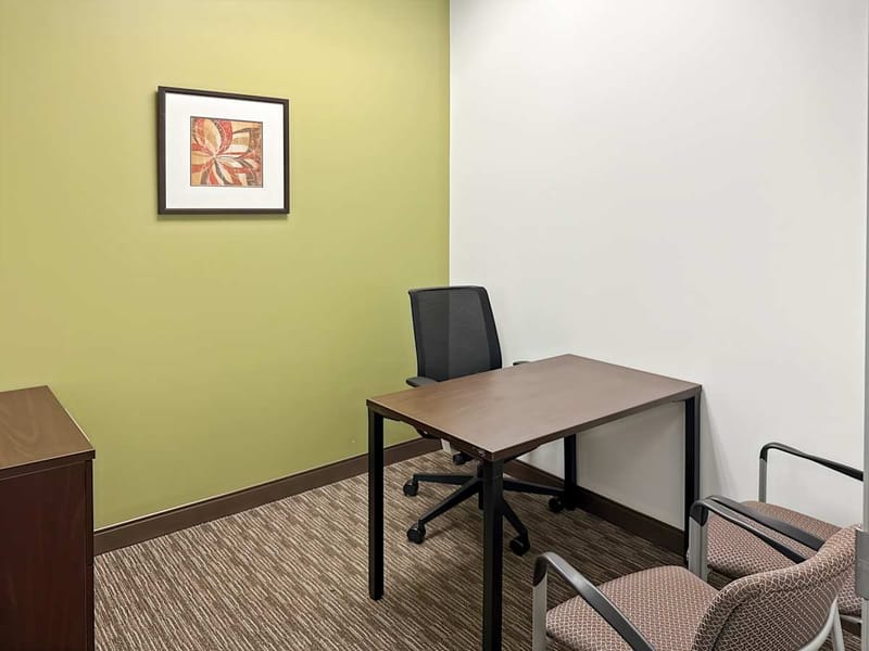 Regus - Vista Point North - State Highway 121 - Lewisville - TX image 7