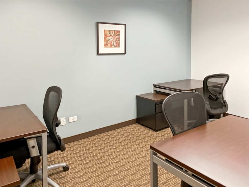 Regus - Illinois Downers Grove Executive Towers West - 1431 Opus Place - Downers Grove - IL image 13