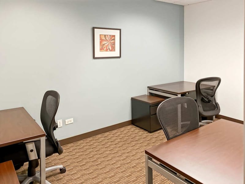 Regus - Illinois Downers Grove Executive Towers West - 1431 Opus Place - Downers Grove - IL image 8