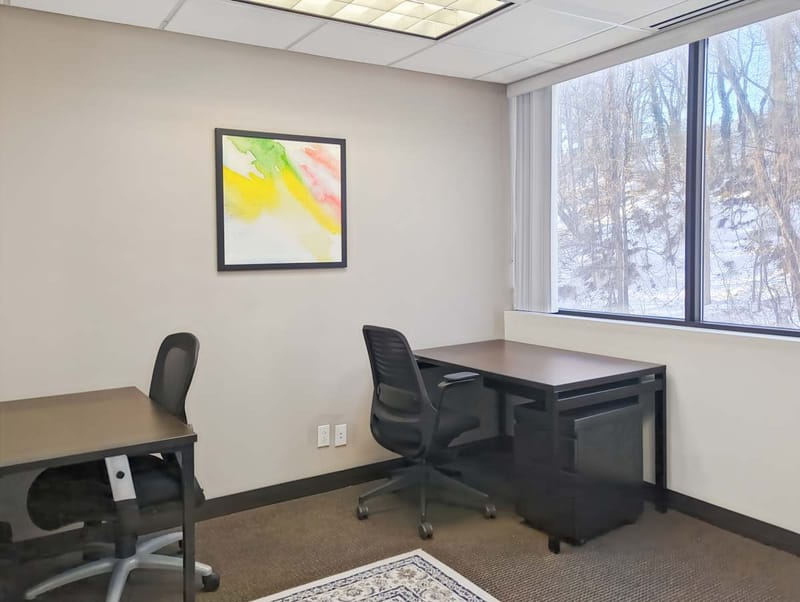 Regus - Northern Blvd, Manhasset - NY image 10
