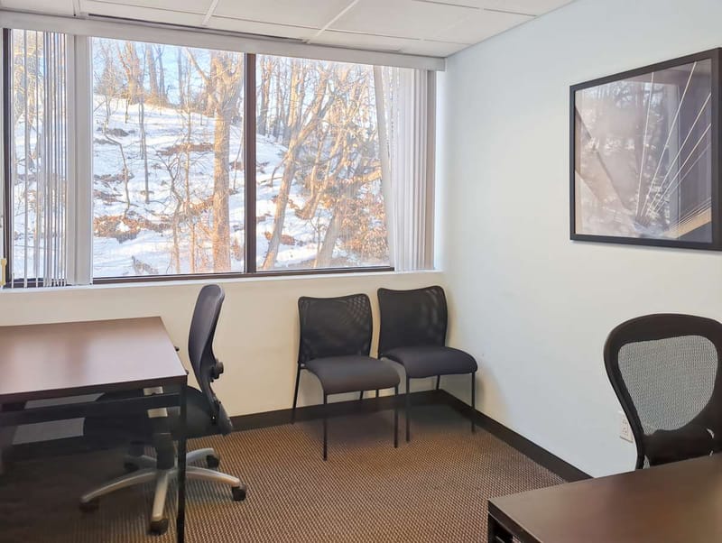 Regus - Northern Blvd, Manhasset - NY image 9