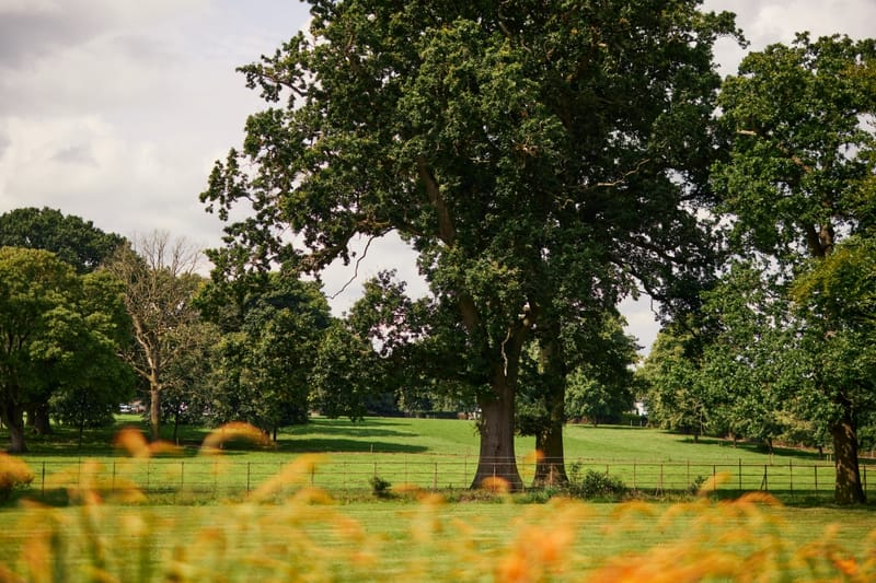 Bruntwood - Booth's Park - Chelford Road - Knutsford - WA16 image 2