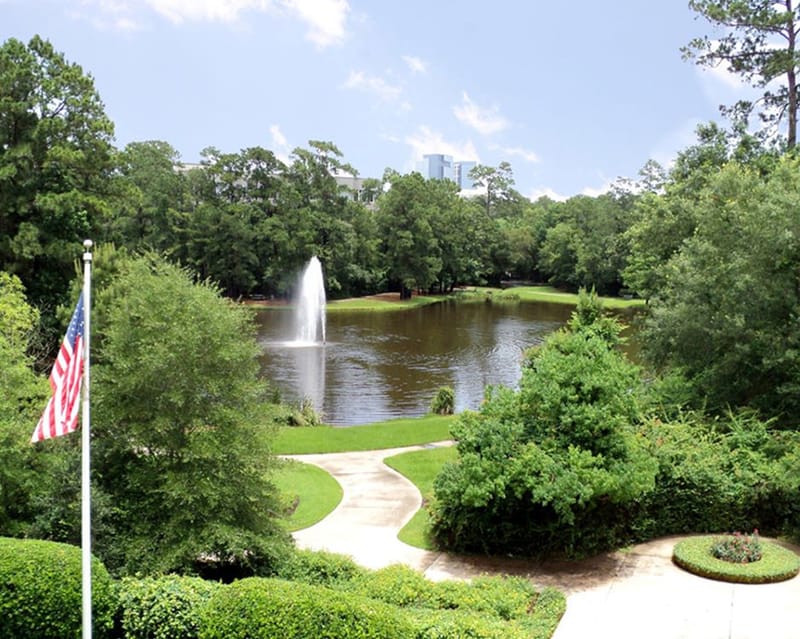 Boxer - 10210 Grogans Mill Road, The Woodlands - TX image 2