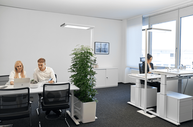 First Choice Business Center - Mainzer Strasse 75 - Wiesbaden (private, co-working) image 14