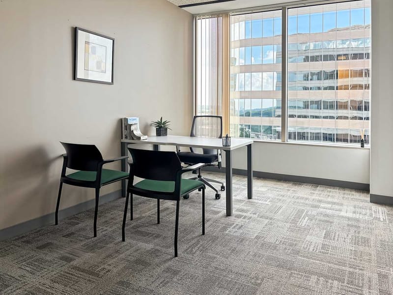 Regus - Galleria Parkway - Atlanta, GA image 4