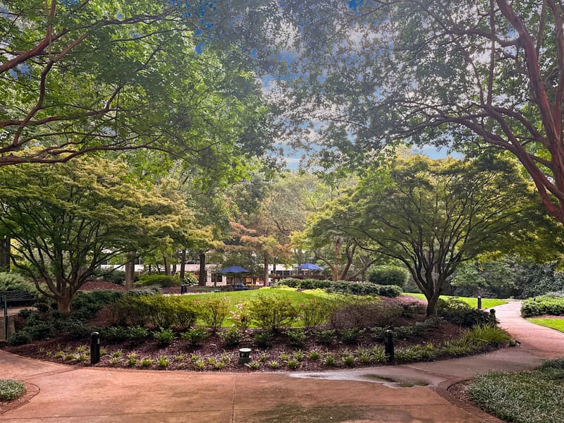 Regus - Sugarloaf - Satellite Blvd - Duluth, GA image 13