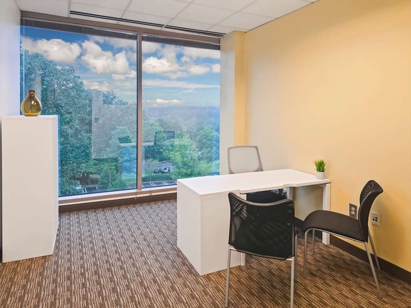 Regus - Sugarloaf - Satellite Blvd - Duluth, GA image 4