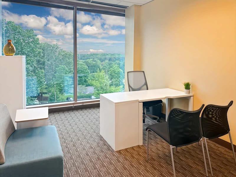 Regus - Sugarloaf - Satellite Blvd - Duluth, GA image 7