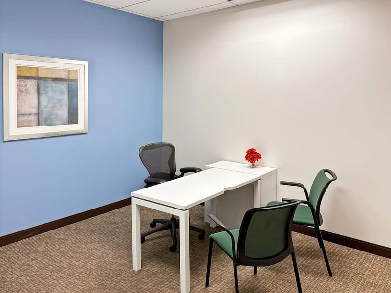 IWG (Regus) - Park Ridge Plaza - 350 S Northwest Highway, 60068 - Park Ridge, IL image 13