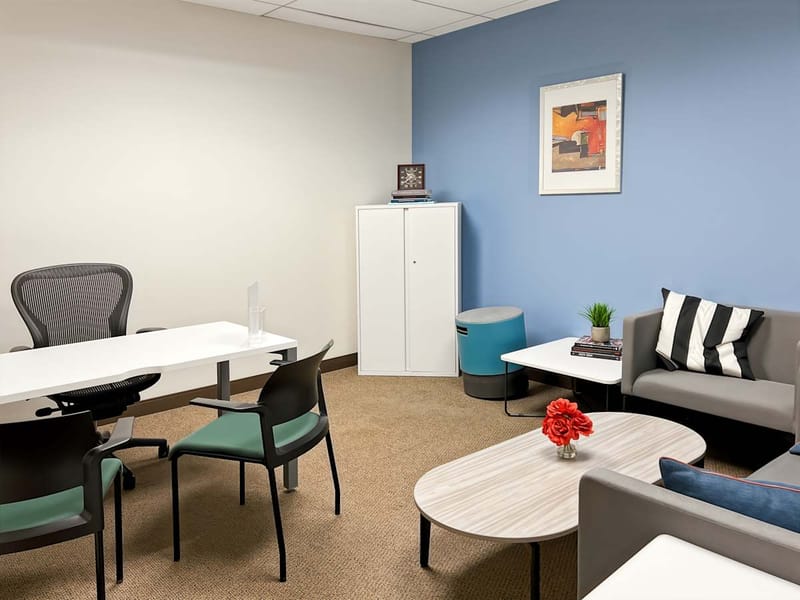 IWG (Regus) - Park Ridge Plaza - 350 S Northwest Highway, 60068 - Park Ridge, IL image 4