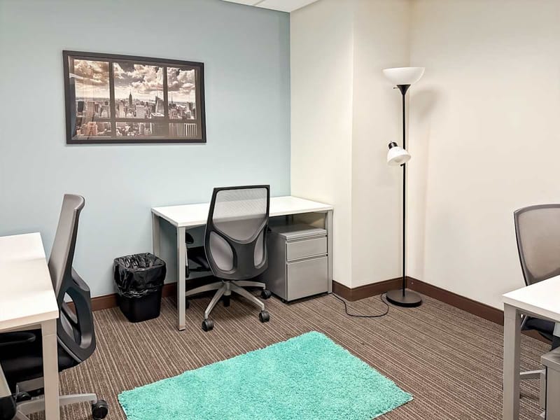 IWG (Regus) - 100 Church Street, 10007 - Tribeca, NY image 7