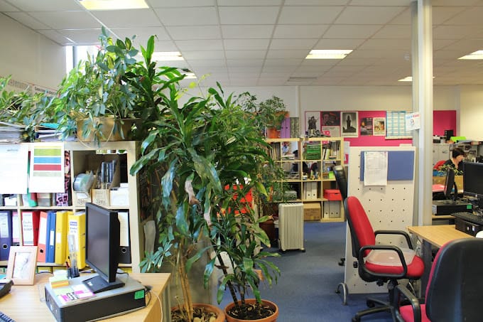 Ethical Property - Green Fish - 46-50 Oldham Street, M4 - Manchester image 3