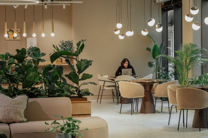 Uncommon - 81-87 High Holborn, WC1V 6DF - Holborn image 3