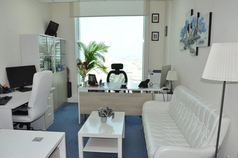 Iris Bay Tower Happiness Street, Business Bay, Dubai image 5