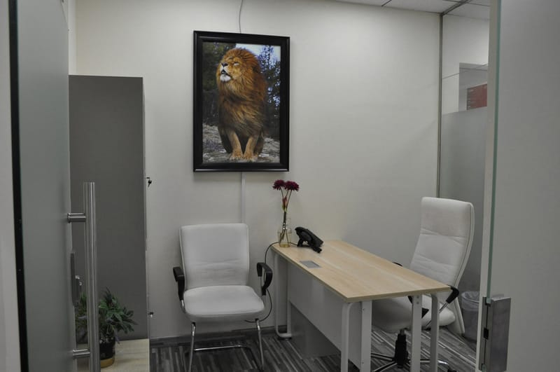 Iris Bay Tower Happiness Street, Business Bay, Dubai image 12