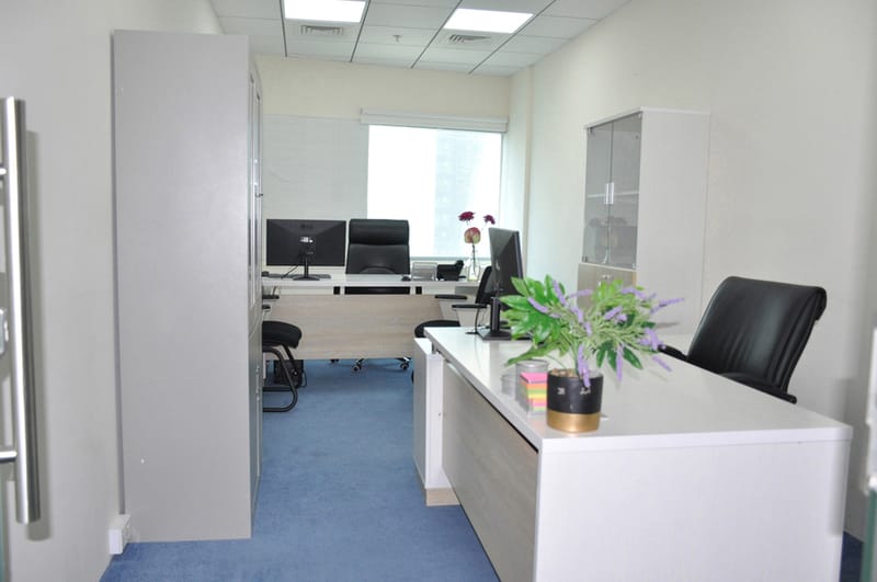 Iris Bay Tower Happiness Street, Business Bay, Dubai image 18