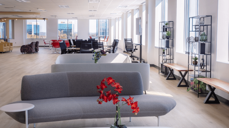 TCC - 1000 Innovation Drive, 5th Floor, Ottawa image 4