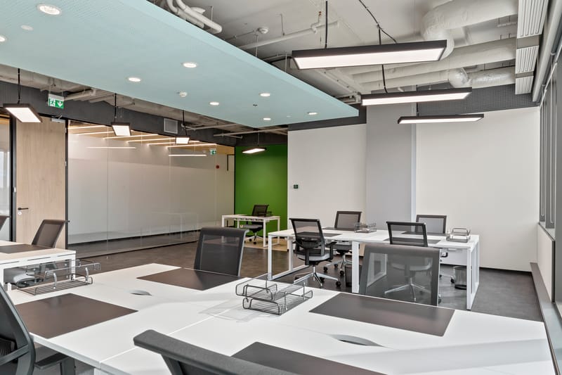 DBH FlexSpace - Floreasca -  2nd District, 2 Gara Herastrau Street, 020334 - Bucharest image 8