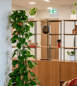 Great Portland Estates (Managed 958 - 1,950 sqft) 166 Piccadilly, W1J - St. James's image 56