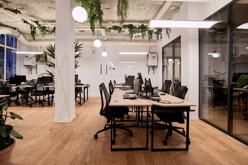 Morning - 11 Rue Notre Dame des Victoires, 75002 - Paris image 3