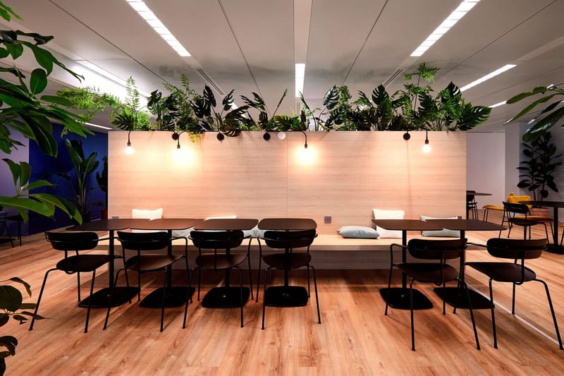 Morning - 34-40 Rue Guynemer, 92130 - Issy-les-Moulineaux image 7