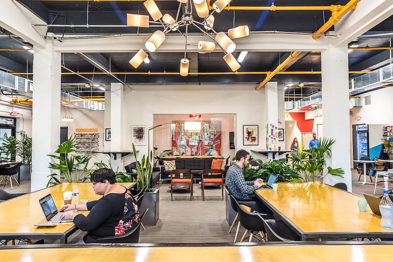 COhatch (hygge) - 933 Louise Avenue, 28204 - Charlotte, NC image 2