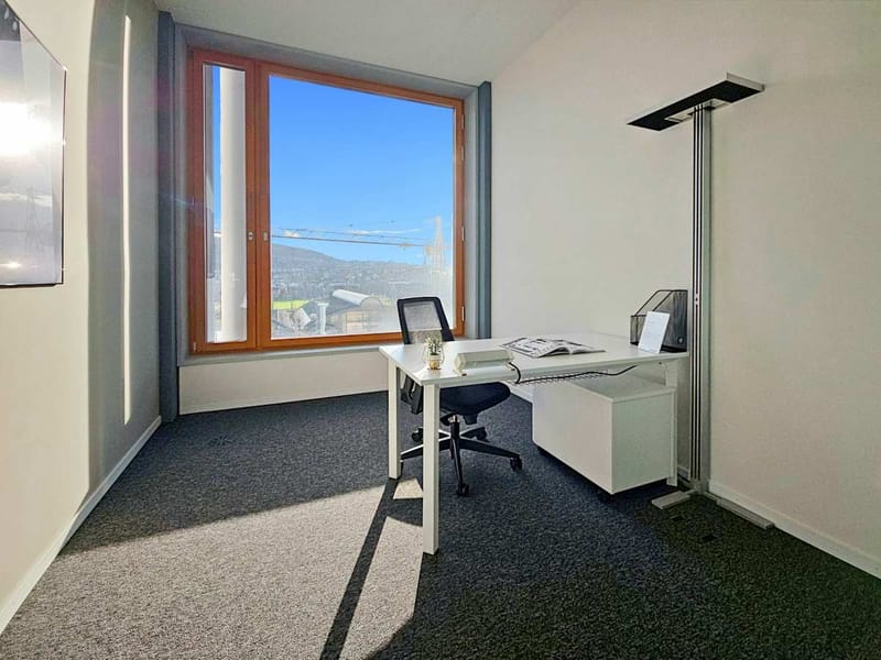 IWG (Regus) - 56 Hagenholzstrasse, 8050 - Zurich image 13