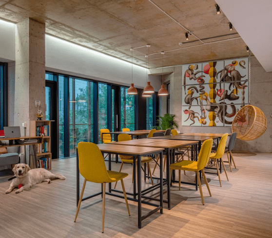v7studio - 5 Mendeleev Strada, 030167 - Bucharest image 3