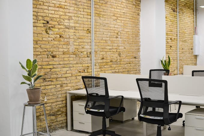 Coworking Botanico - 53 Calle del Turia, 46008 - Valencia image 2