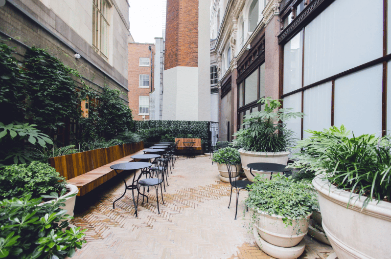 Orega - 80 Strand, WC2R - Covent Garden image 12