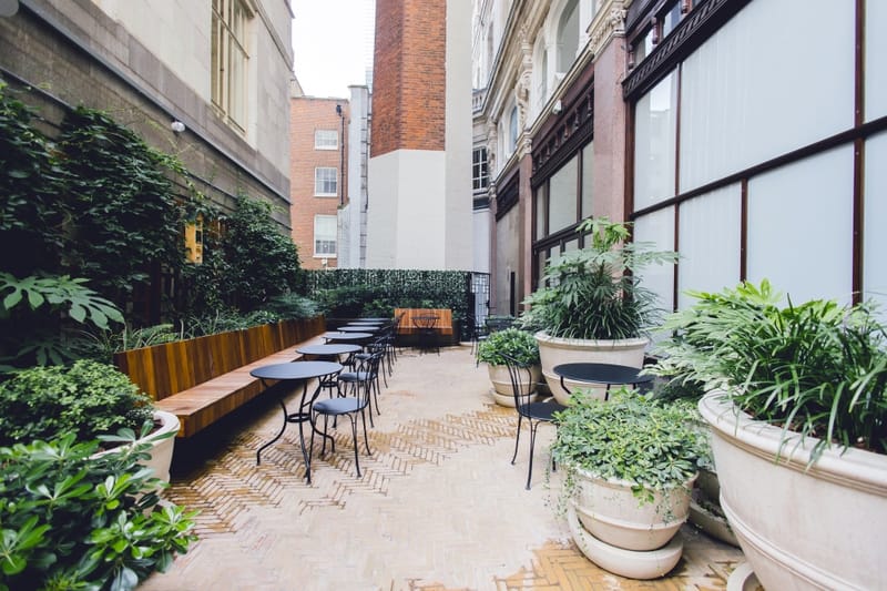 Orega - 80 Strand, WC2R 0RL - Covent Garden image 11