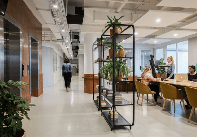 Workshop 17 - 24 Cradcok Avenue, 2196 - Rosebank - South Africa image 6