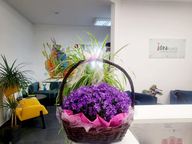 IdeaPlace - 15 Plac Solny, 50-062 - Wroclaw - Poland image 13