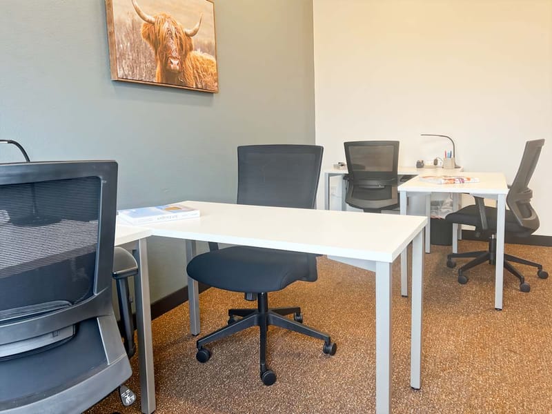 Regus - 295 E Renfro St, 76028 - Burleson image 4