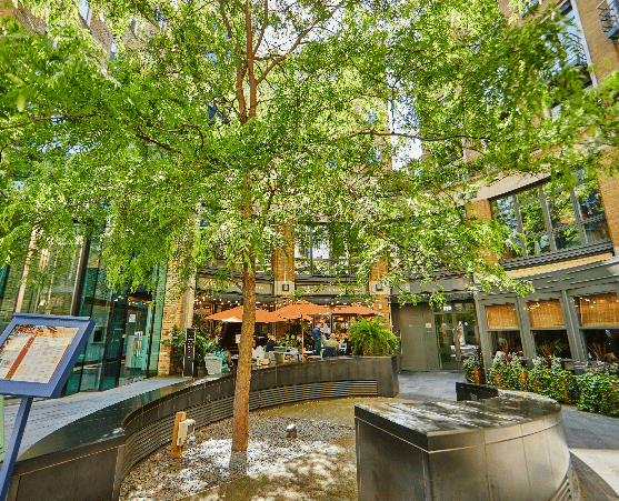 Stage re (Managed 1,647 sqft) - 143 Long Acre, WC2 - Covent Garden image 2