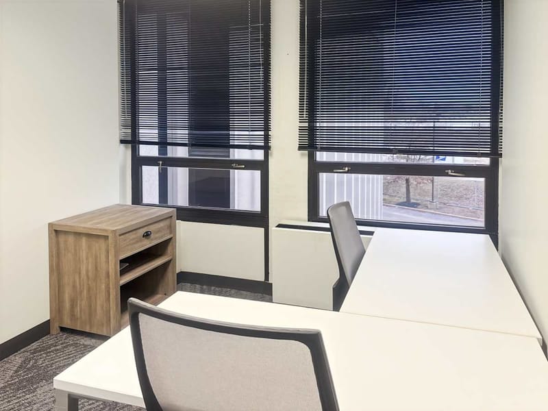 Regus - 555 Broadhollow Rd.,Suite 305 image 4