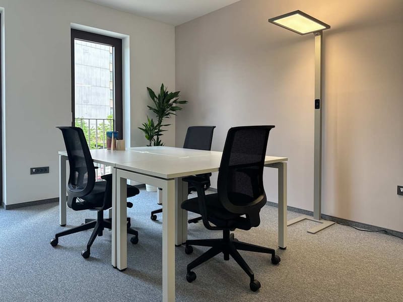 Regus - Gosposvetska cesta 11 image 4
