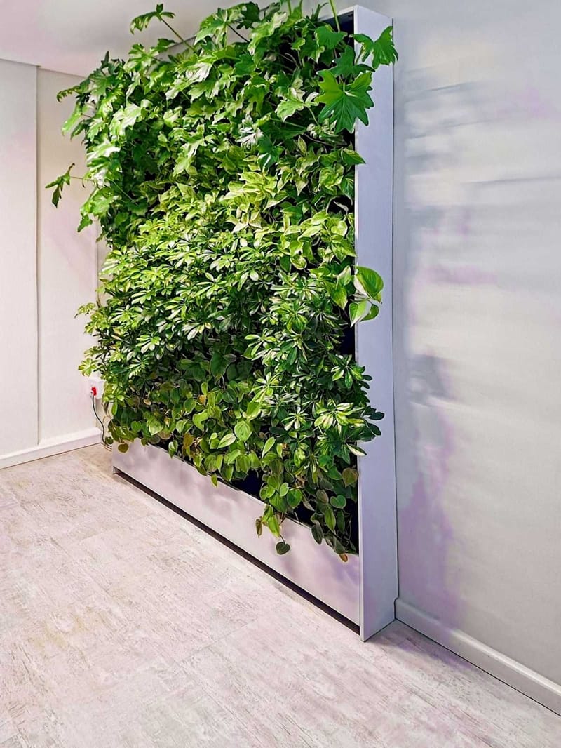 Regus - 97 York Street,2nd Floor image 8