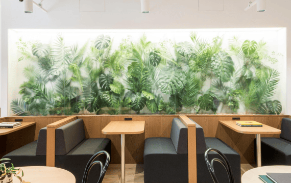 WeWork - Nippon TV Yotsuya Building - 1F, 5 Chome 3-23 Kojimachi, Chiyoda City, 102-0083 - Tokyo image 4