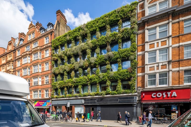 Workplace Plus (Managed 2,122 sqft) - Synergy House - 114-118 Southampton Row, WC1B 5AA - Holborn image 6