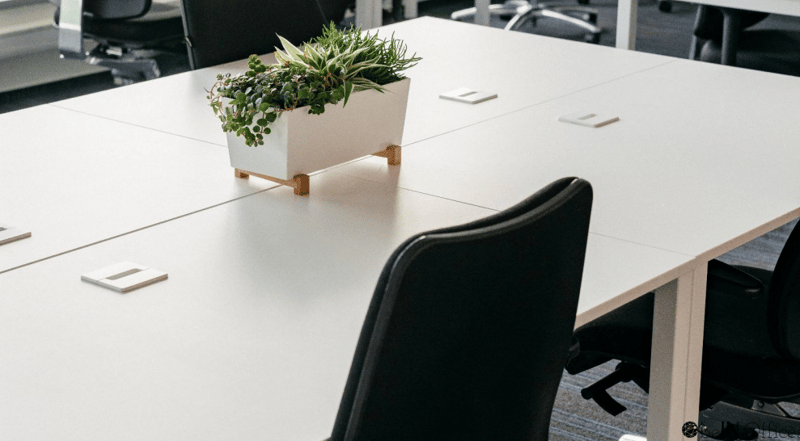 beIN Offices - Jellyfish - Mogilska 65, 31-545 - Krakow image 3