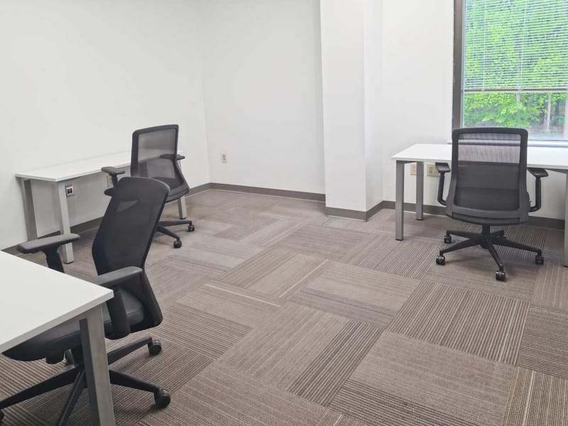 Regus - 1099 White Horse Road,2nd Floor image 8