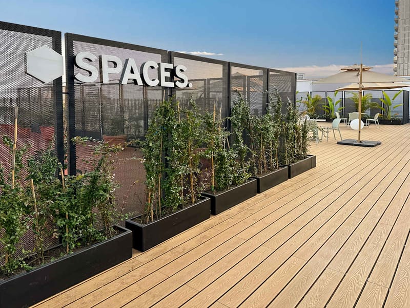Spaces - Av. Insurgentes Sur #2375, Colonia Guadalupe Inn, Delegaciòn Alvaro Obregòn image 14