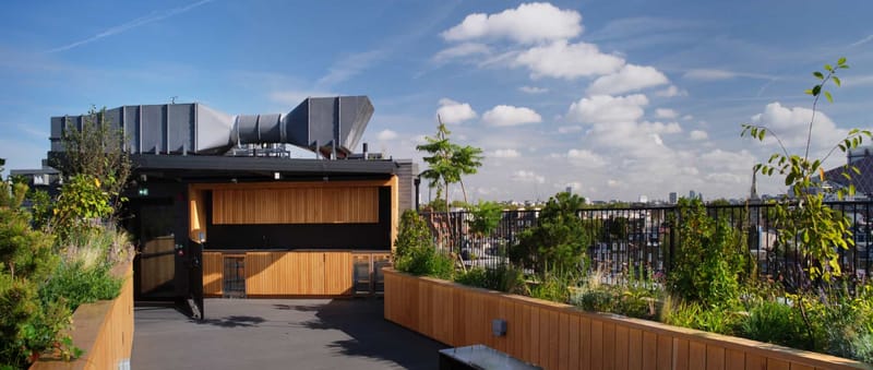 Knight Frank (Managed 3,430 - 4,703 sqft) - Holbein Gardens - 7 Holbein Pl, SW1W - Chelsea image 7