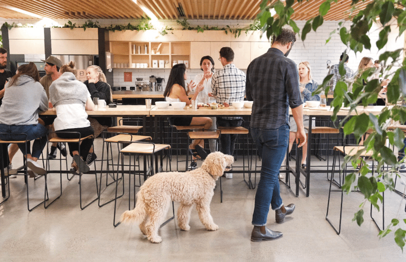 The Commons - 80 Market St, 3205 - South Melbourne image 2