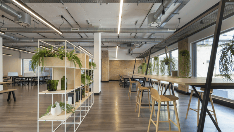 Edward Charles and Partners (Managed 3,200 sqft) - 147 Arlington Road, NW1 - Camden image 9
