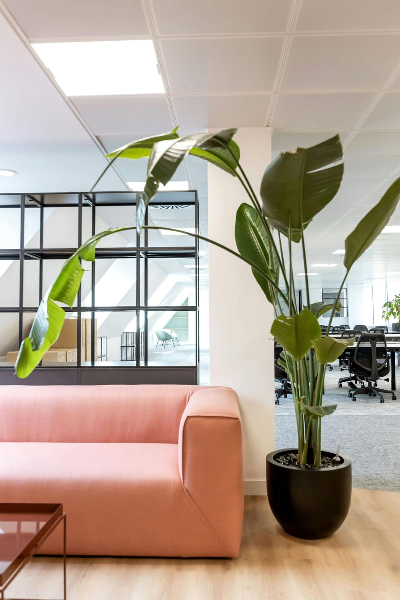 Sub800 Managed (3,487 - 3,487 sqft) - 10 Dean Farrar Street, London, UK image 6