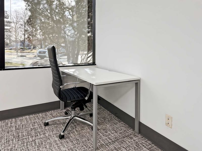 Regus - 1155 Kelly Johnson Boulevard image 7